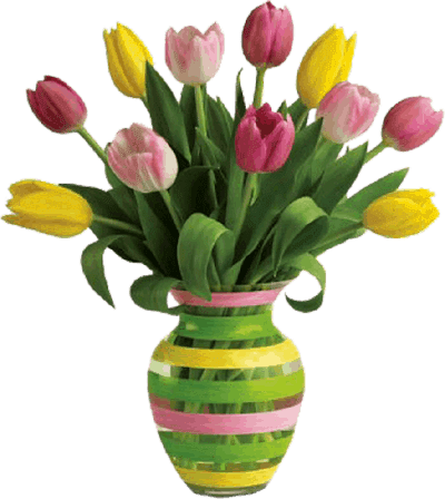 colorful rosa vase